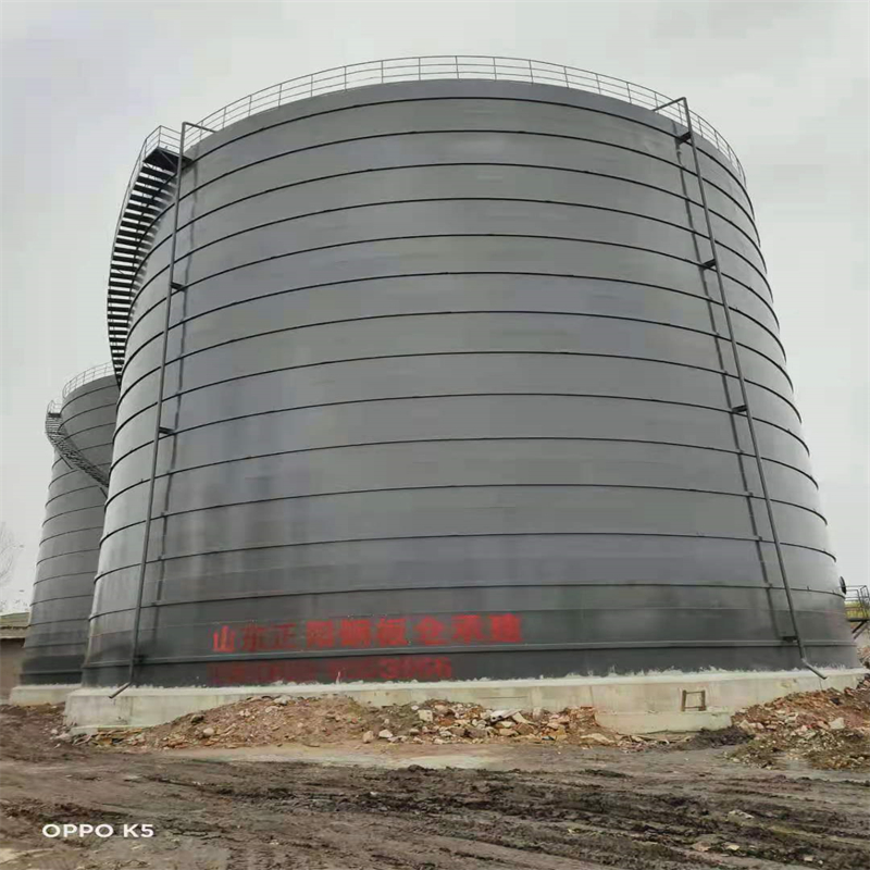 新抚3万吨大型钢板库